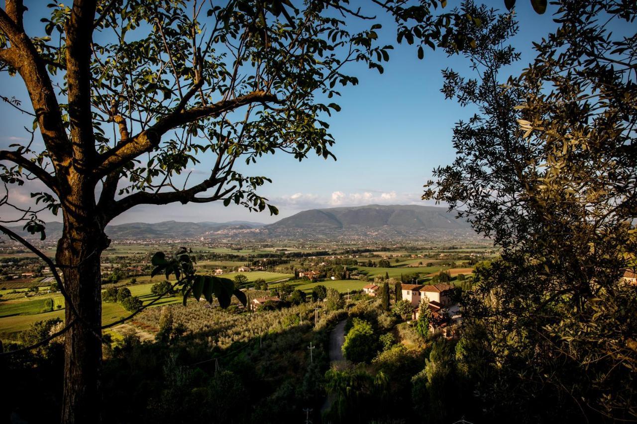Il Poggio Degli Olivi Villa Bettona Exteriör bild