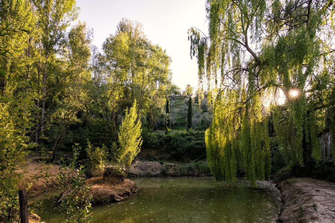 Il Poggio Degli Olivi Villa Bettona Exteriör bild