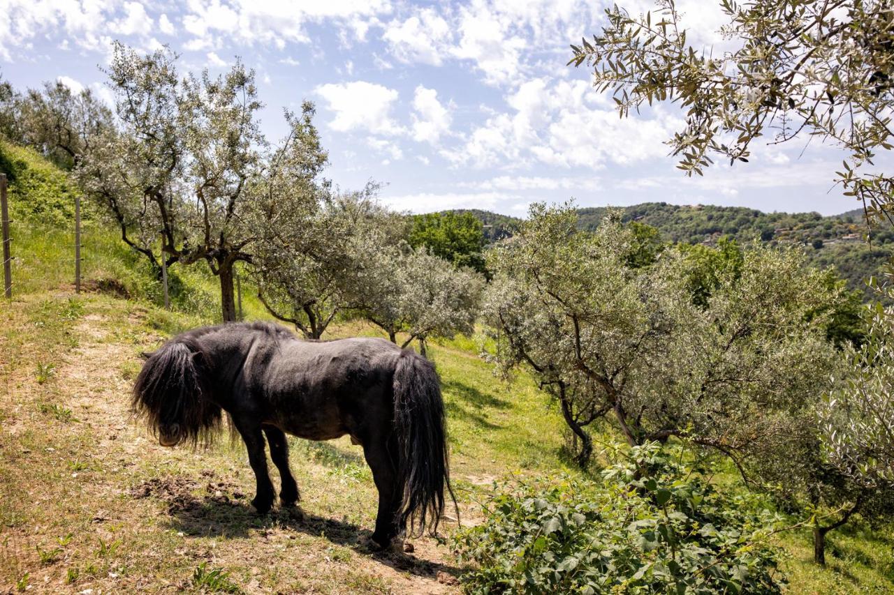 Il Poggio Degli Olivi Villa Bettona Exteriör bild